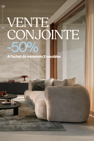 Salon moderne avec canapé design clair, tables basses et tapis. Offre vente conjointe : 50 % de réduction à l'achat de minimum 2 meubles.